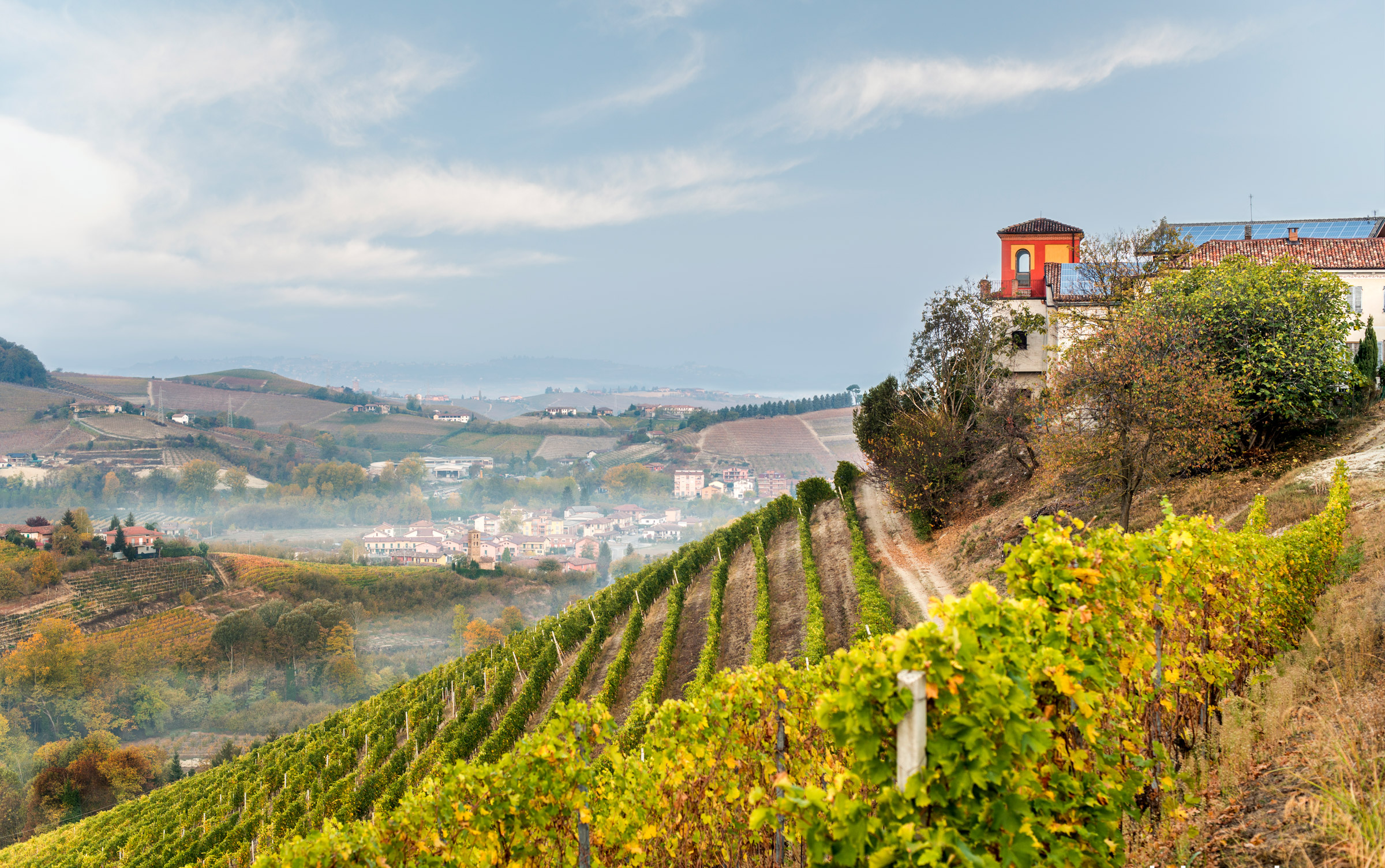 Paitin vineyards in autumn, Neive, Barbaresco