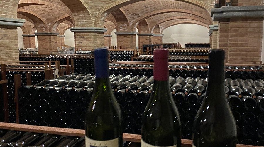 Sandrone wine cellar in Barolo