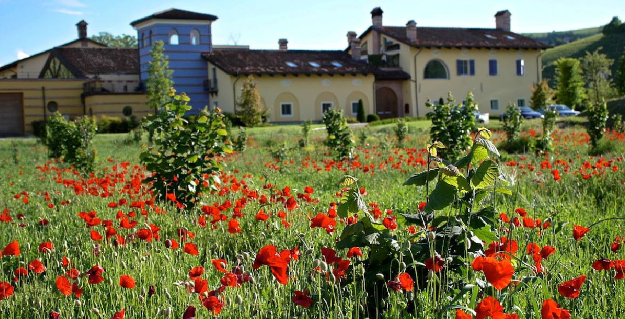 Luciano Sandrone Estate and Vineyards, Barolo